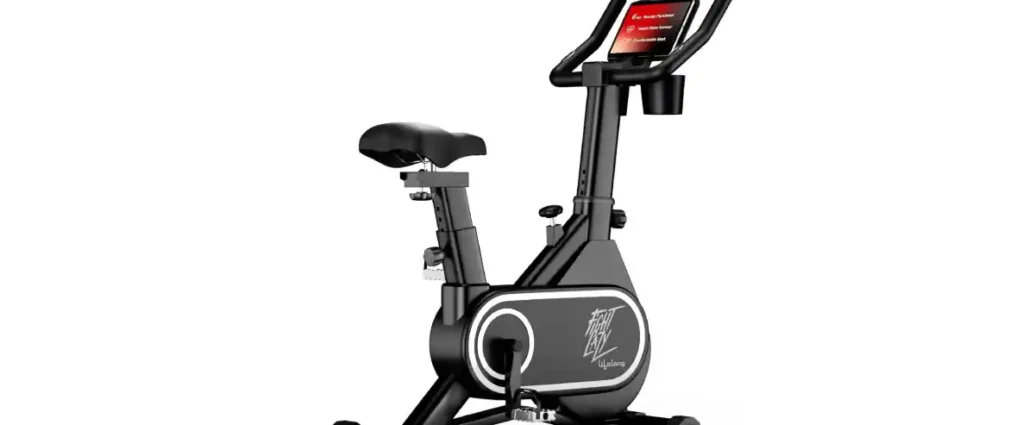 Lifelong Fit Pro Spin Bike