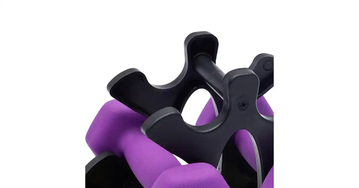 Dumbbells arranged on stand for strength training