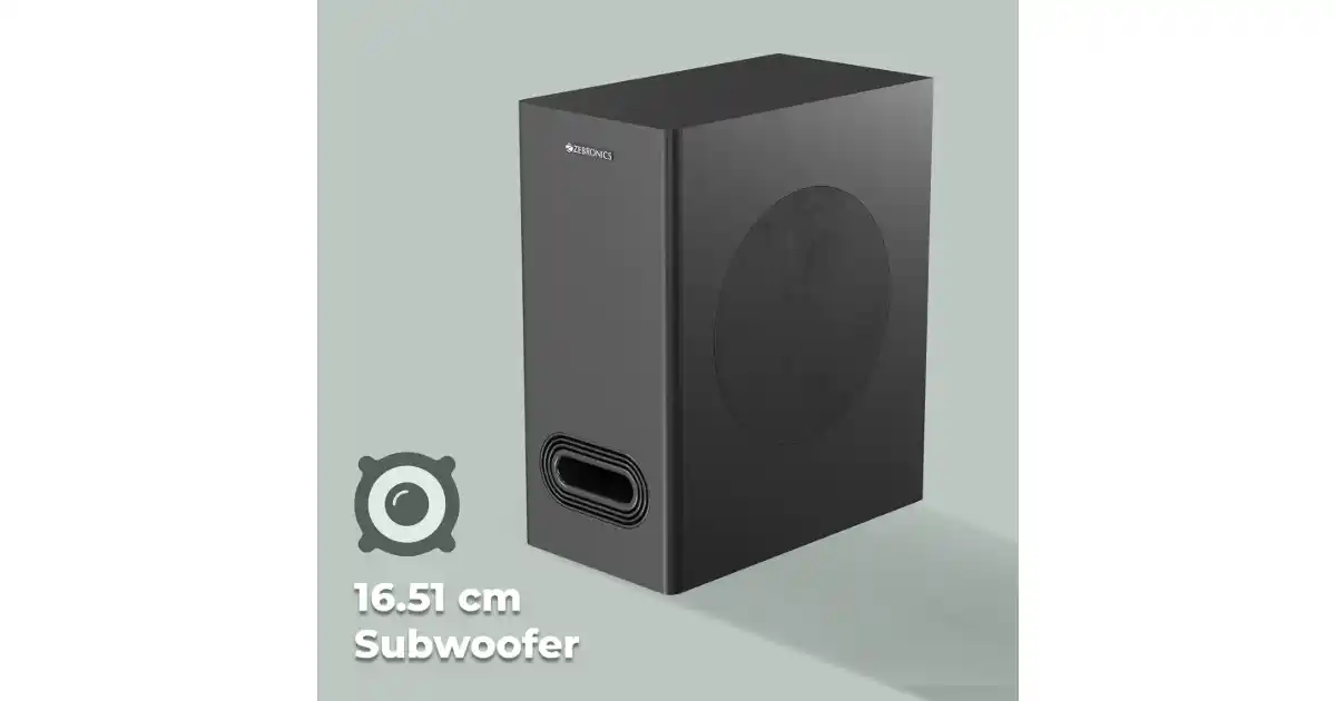 Zebronics Powerful Subwoofer Unit